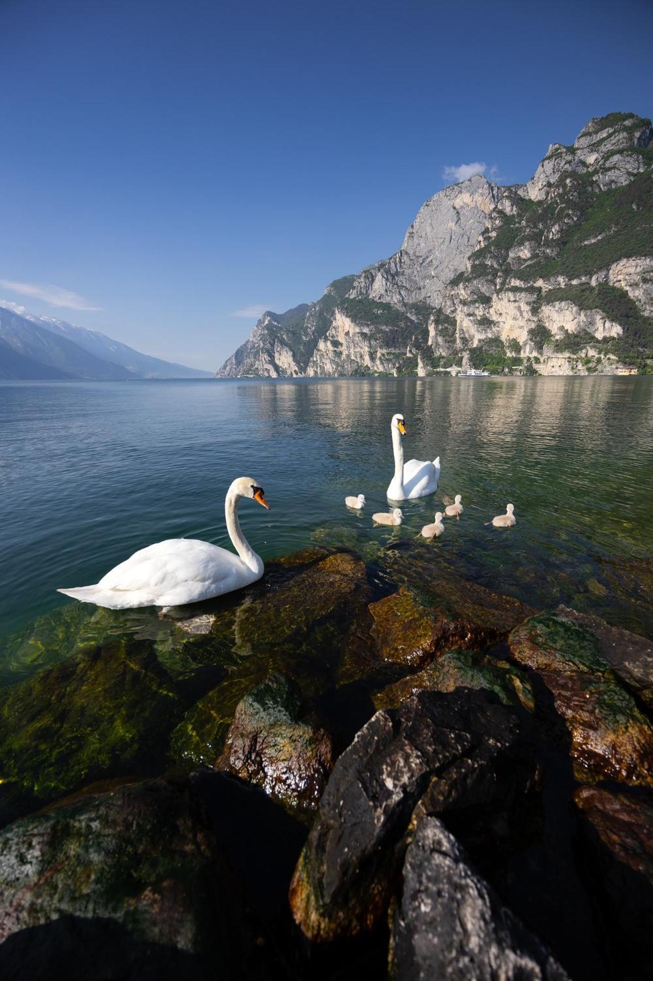 Appartamento Laura Riva del Garda Exteriör bild
